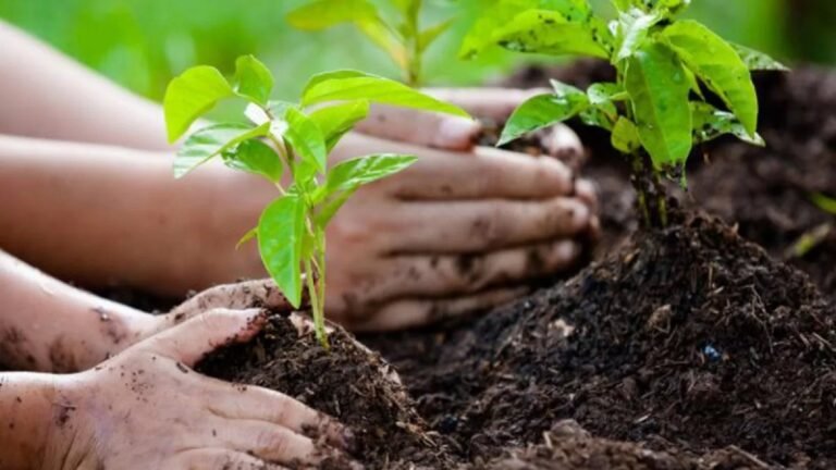 সাধারণ কাজ যেভাবে ইবাদতে পরিণত হয়